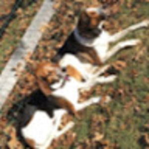 Meet your Posher, Brad